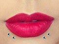 Piercing Shark Bites